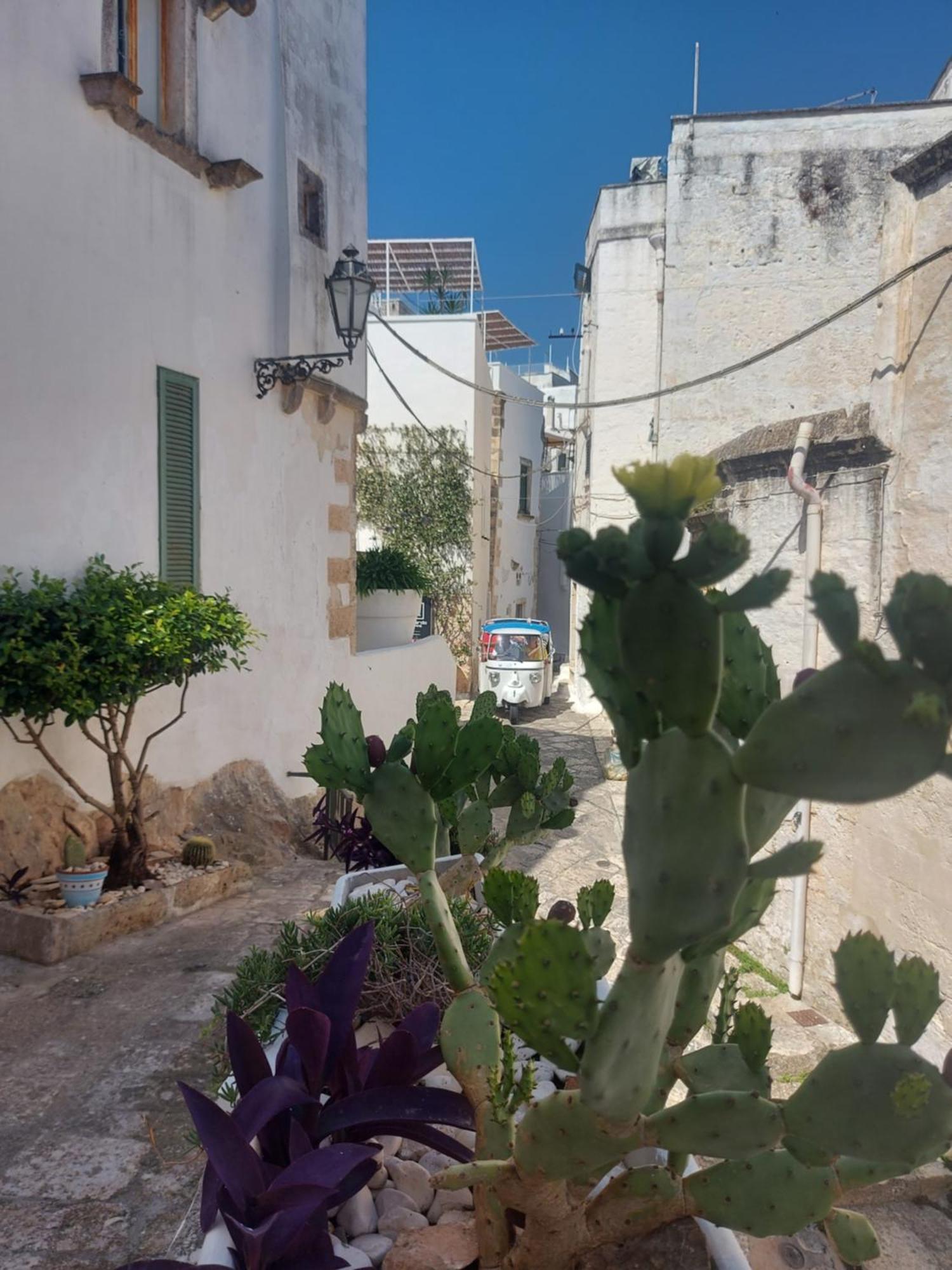 Appartamento Antica Dimora Flale Ostuni Esterno foto